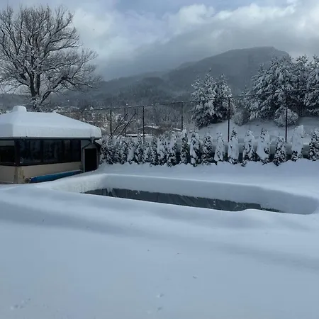 Paradise * Beli Iskar