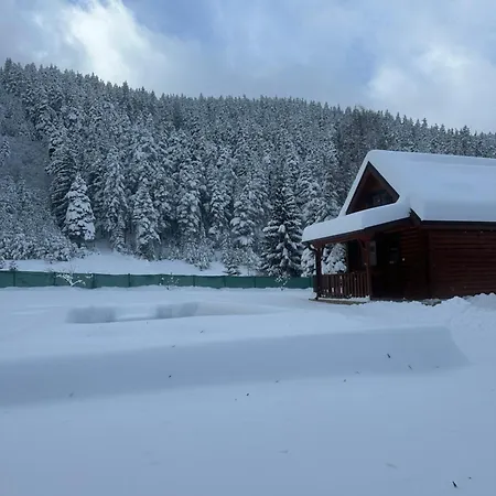 Semesterbostad Paradise