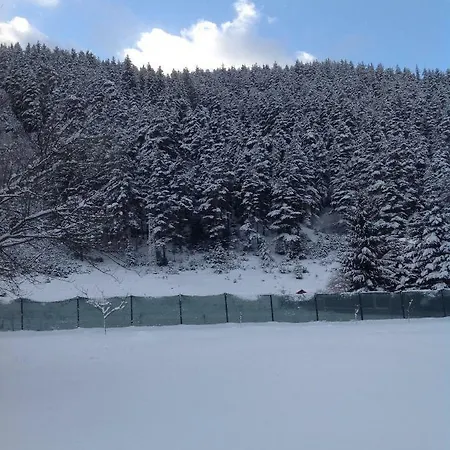 Ferienhaus Paradise *