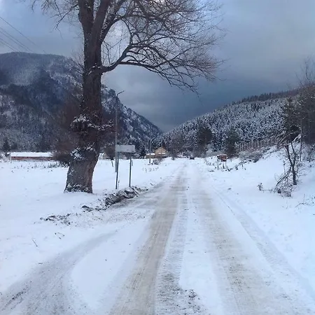 Semesterbostad Paradise