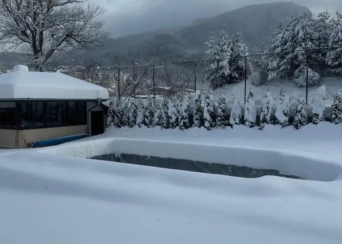 Paradise * Beli Iskar