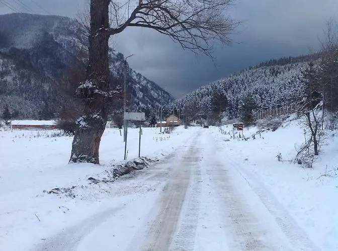 Semesterbostad Paradise